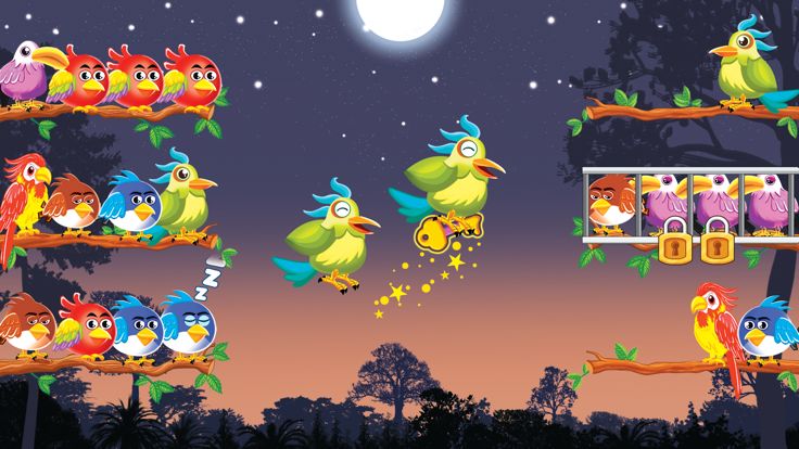 鸟类分类:彩色益智游戏游戏截图