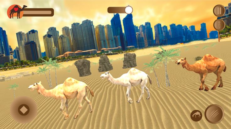 Dubai Desert Camel Simulator游戏截图