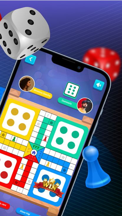 Ludonection Pro游戏截图