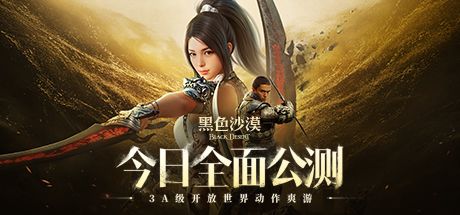 黑色沙漠 封面