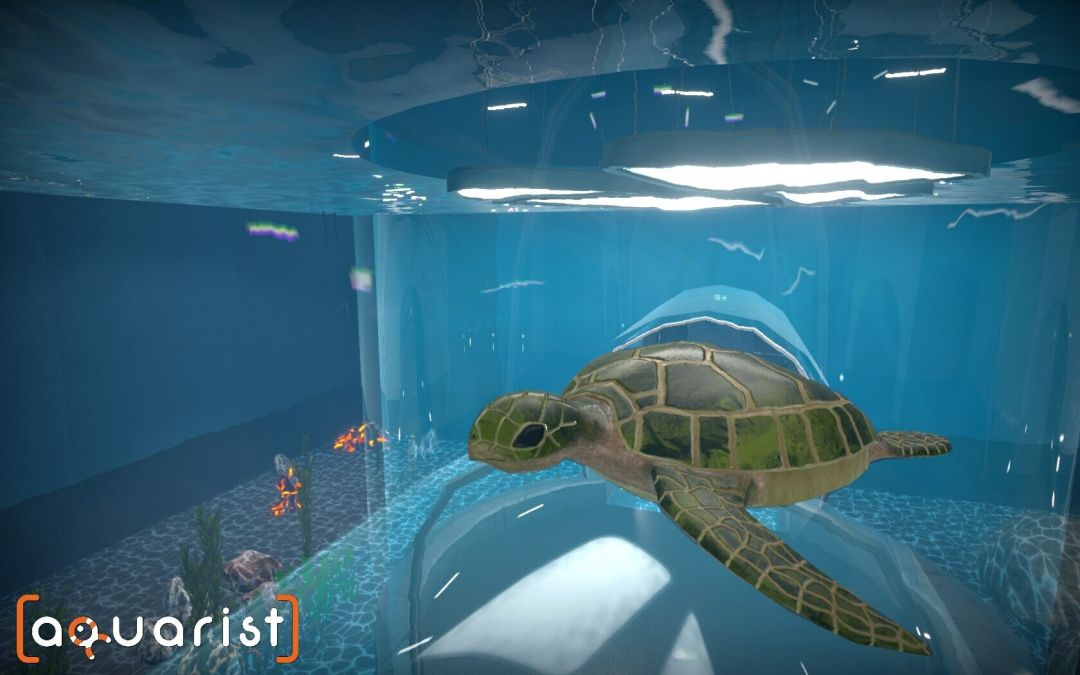 Aquarist - 建造水族馆,繁殖鱼类,拓展你的业务!游戏截图