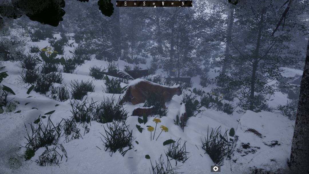 Untamed Kingdom游戏截图