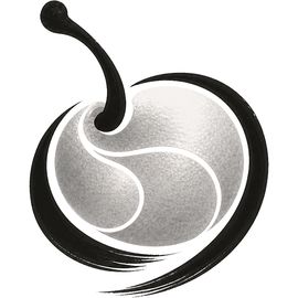 银菓游戏