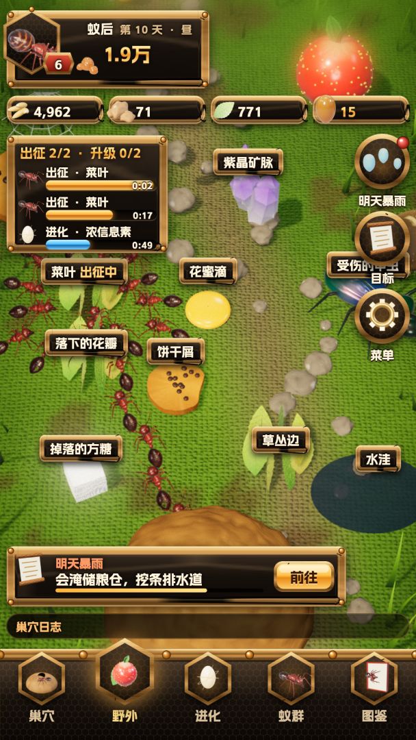 蚁国:从一只蚁后到整座后院游戏截图