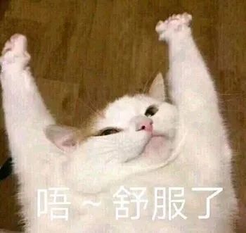 ​【特色解读】简单了解一下原力的三大游戏模式！