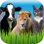 Animal Sounds - Zoo, Pet and Farm Sounds