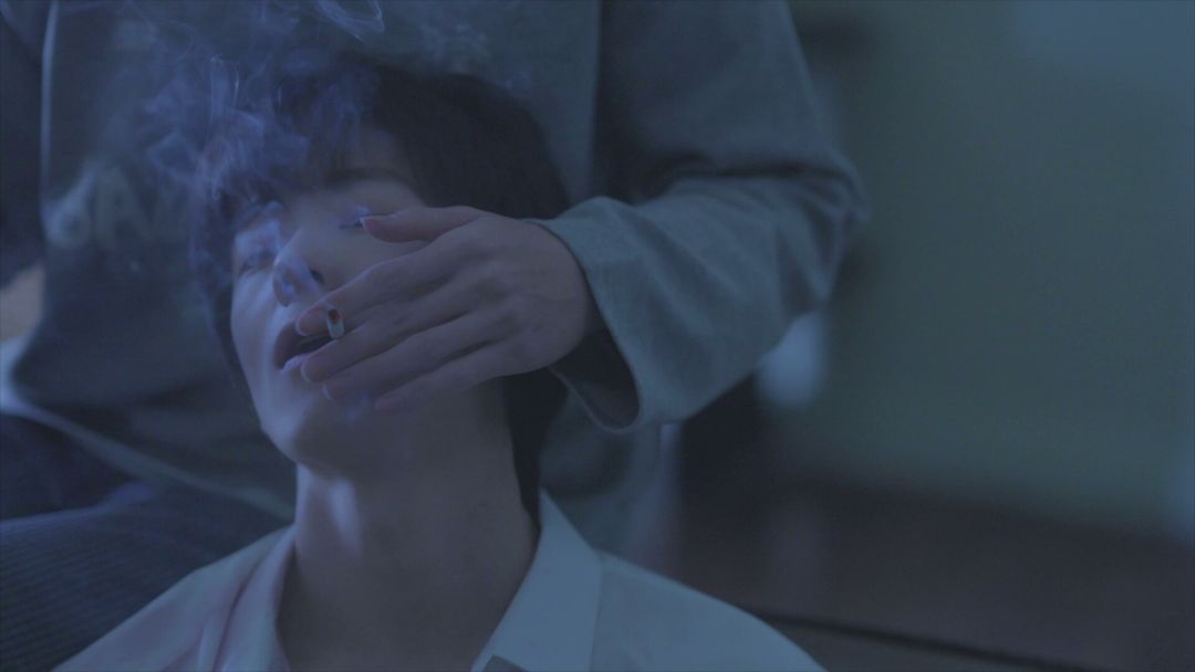树上的经纬线游戏截图