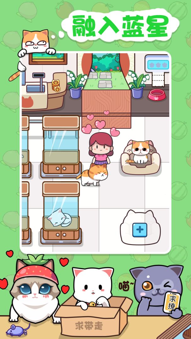 蓝星猫猫教游戏截图