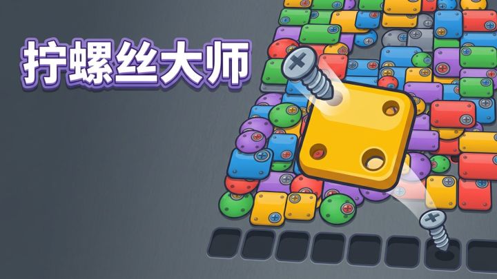拧螺丝大师 封面