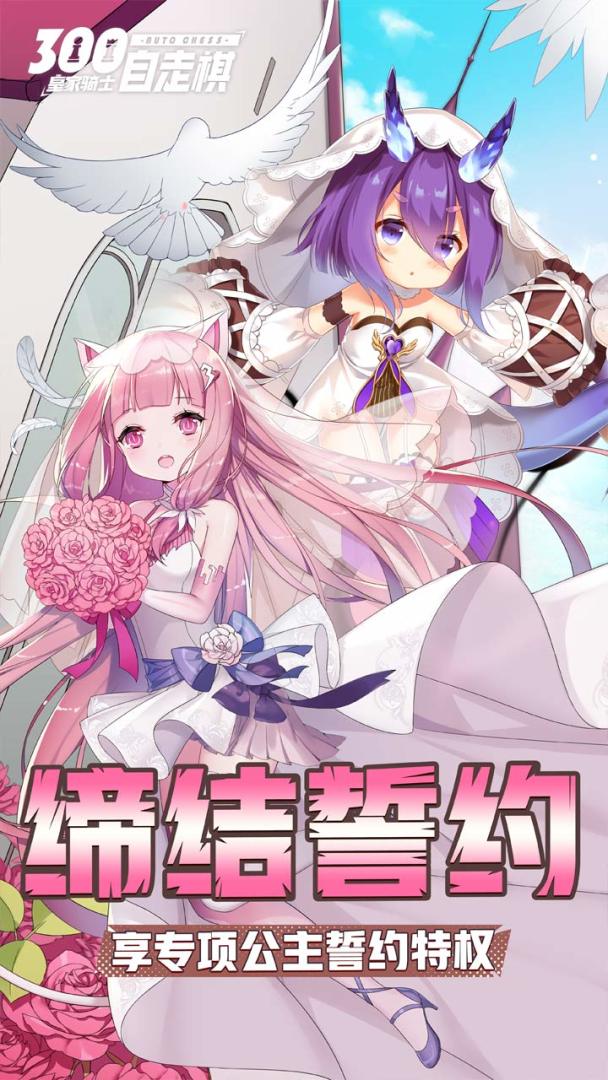 皇家骑士游戏截图