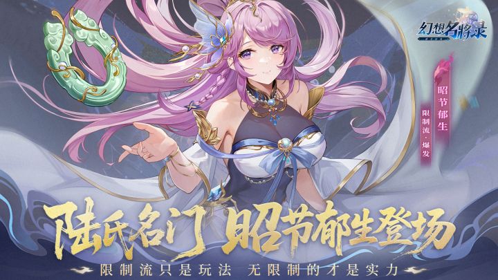 幻想名将录截图