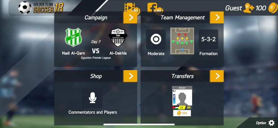 Golden Team Soccer 18游戏截图