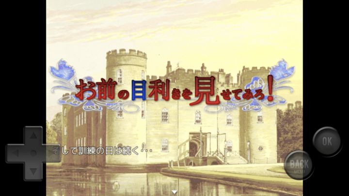 お前の目利きを見せてみろ!游戏截图