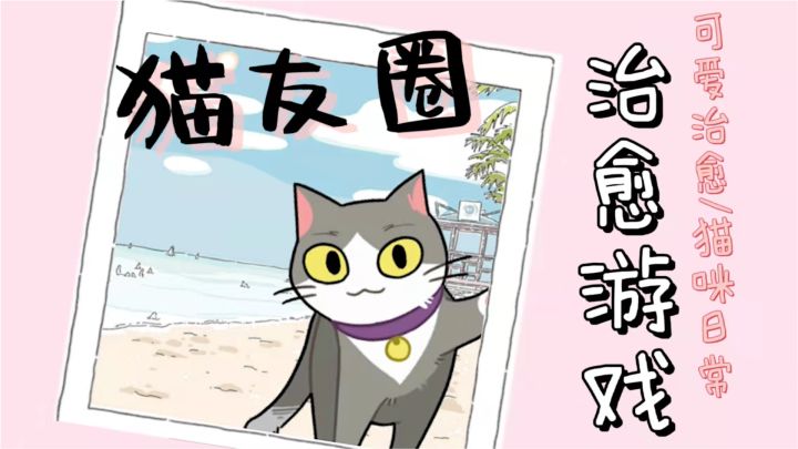 在手机上云养猫#新游观察局#截图