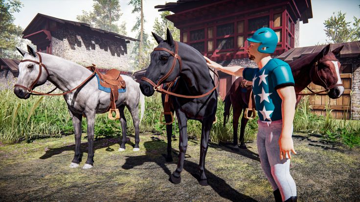 Horse Rider Adventure 3D Stunt游戏截图