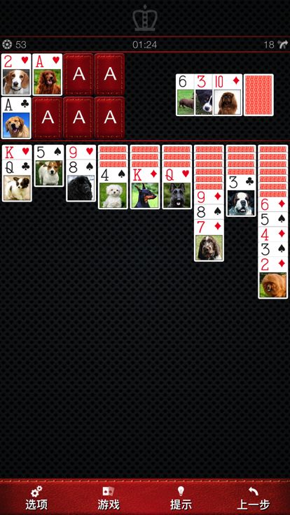 纸牌接龙 2副牌游戏截图