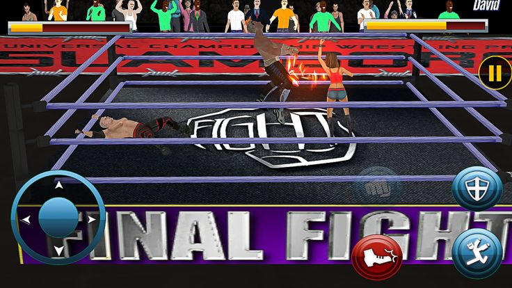 World Wrestling Fighting 2020游戏截图