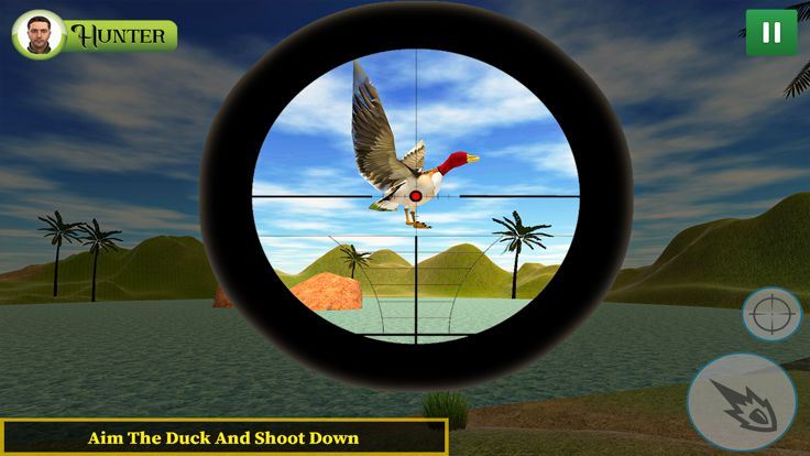 Duck Hunting Sniper Shooting游戏截图