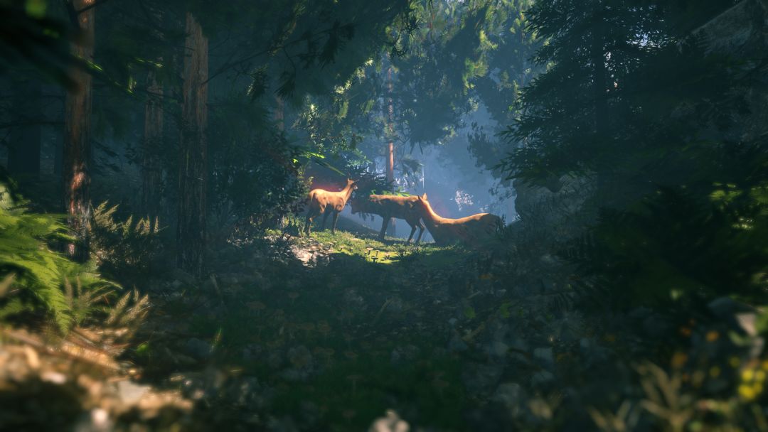 FlowScape游戏截图