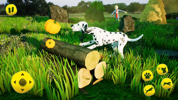 狗 家 动物 Pet游戏截图