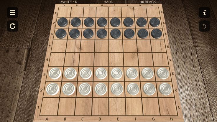 国际跳棋 - 两名球员游戏截图