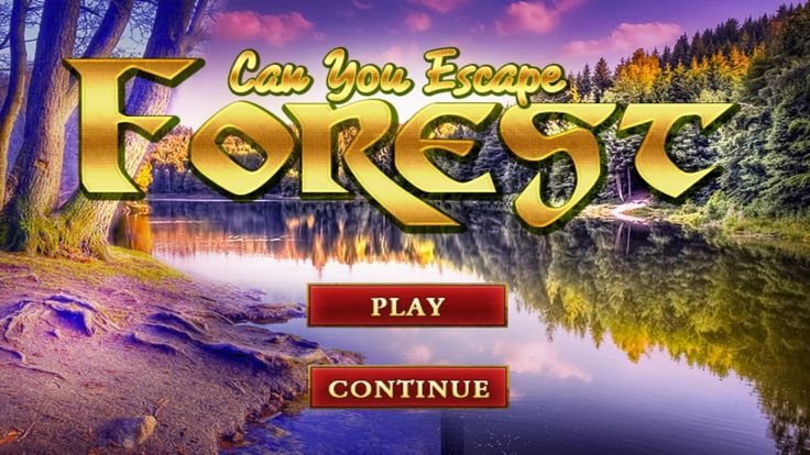 Can You Escape Forest游戏截图