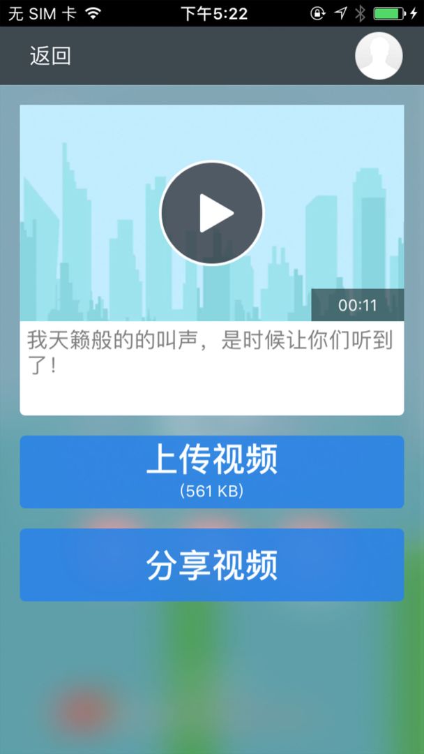 尖叫鸟游戏截图