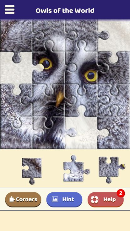 Owls of the World Puzzle游戏截图