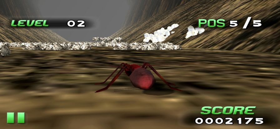 Insect Race游戏截图