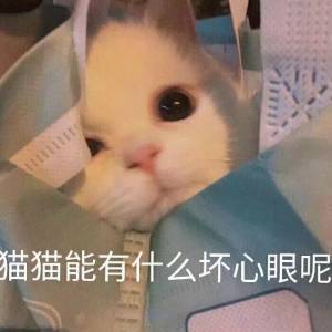 请问如何在老虎面前不被吃掉，在线等，挺急的