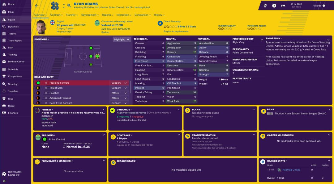 Football Manager 2019: The Hashtag United Challenge游戏截图