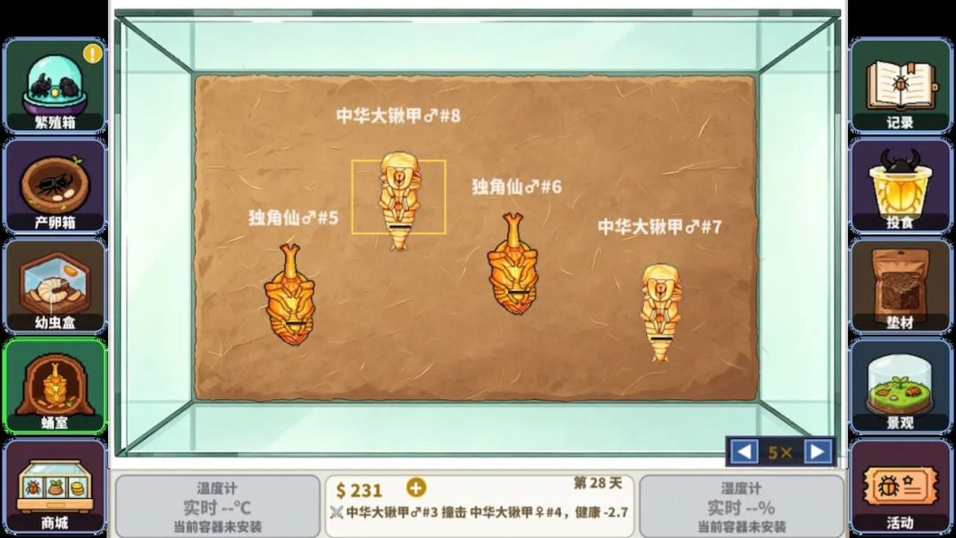 甲虫养殖大师游戏截图