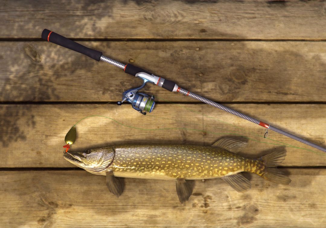 Fishing Planet游戏截图