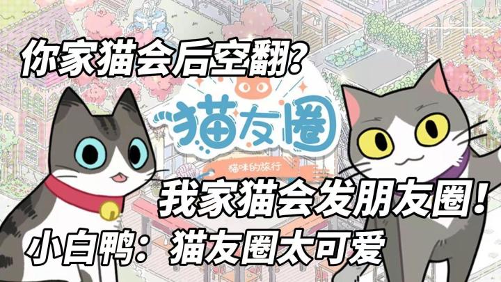 你家猫会后空翻?我家猫会发朋友圈!小白鸭:猫友圈太可爱#新游观察局#截图
