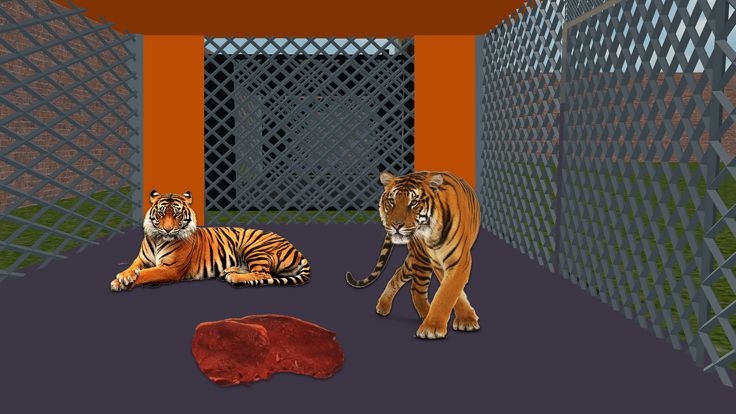 Animal Shelter 3D Safari Zoo游戏截图