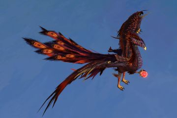 【神奇异兽在哪里】啄火焚天，金乌降临！全新万年宠等你来~