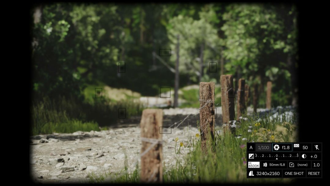 Lushfoil Photography Sim游戏截图