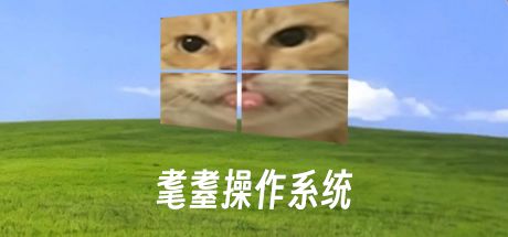 耄耋操作系统 封面