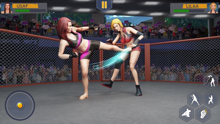 武术搏击运动会23游戏截图