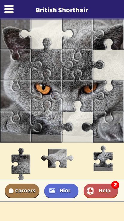 British Shorthair Puzzle游戏截图