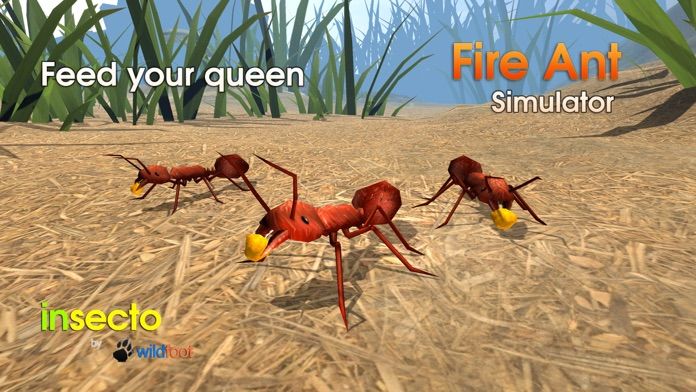 Fire Ant Simulator游戏截图