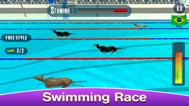 Dog Swimming Race游戏截图