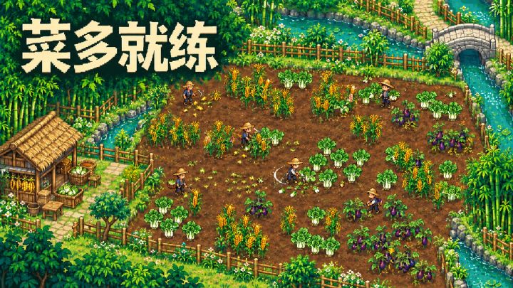 菜多就练 封面