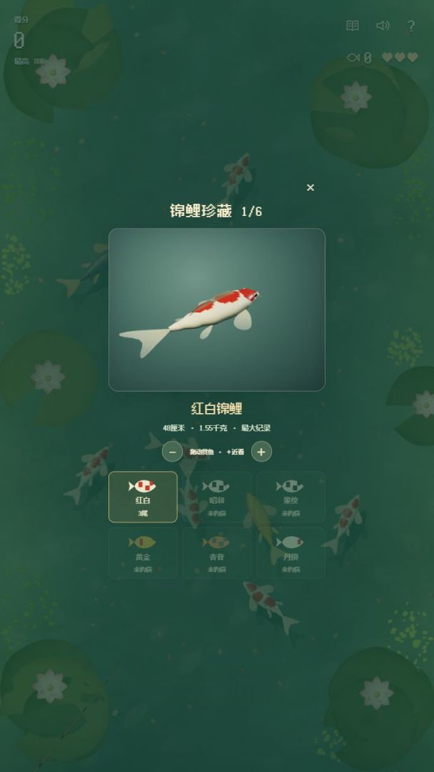 锦波寻鲤游戏截图