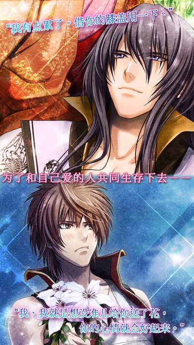 Forbidden Romance:Destiny's Princess游戏截图