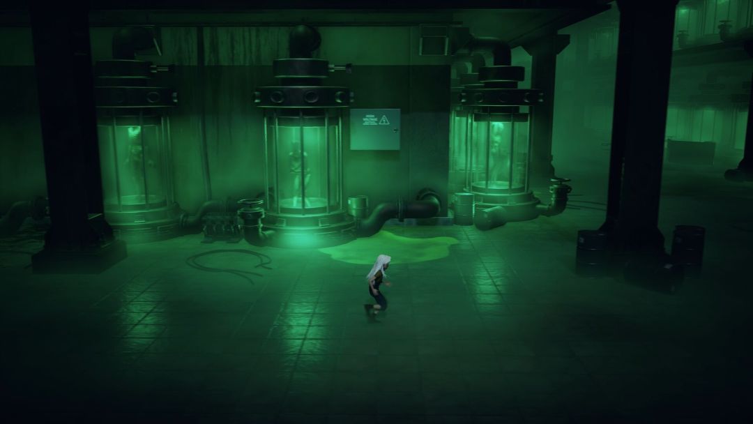 寂静之国的波斯菊游戏截图