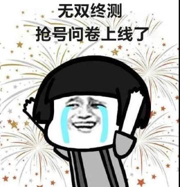 《真・三国无双 霸》“无双终测”4月13日开启，抢码问卷今日上线