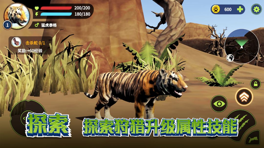 野生老虎模拟器游戏截图