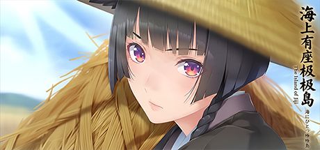 海上有座极极岛 封面