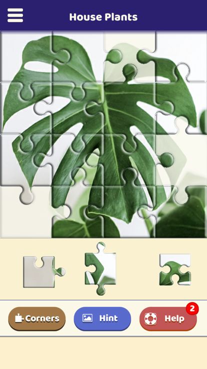House Plants Puzzle游戏截图